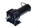 Bison Electric DC Gearmotors