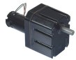 Bison Electric DC Gear Motor